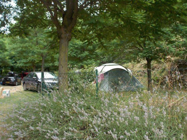 Emplacements de camping